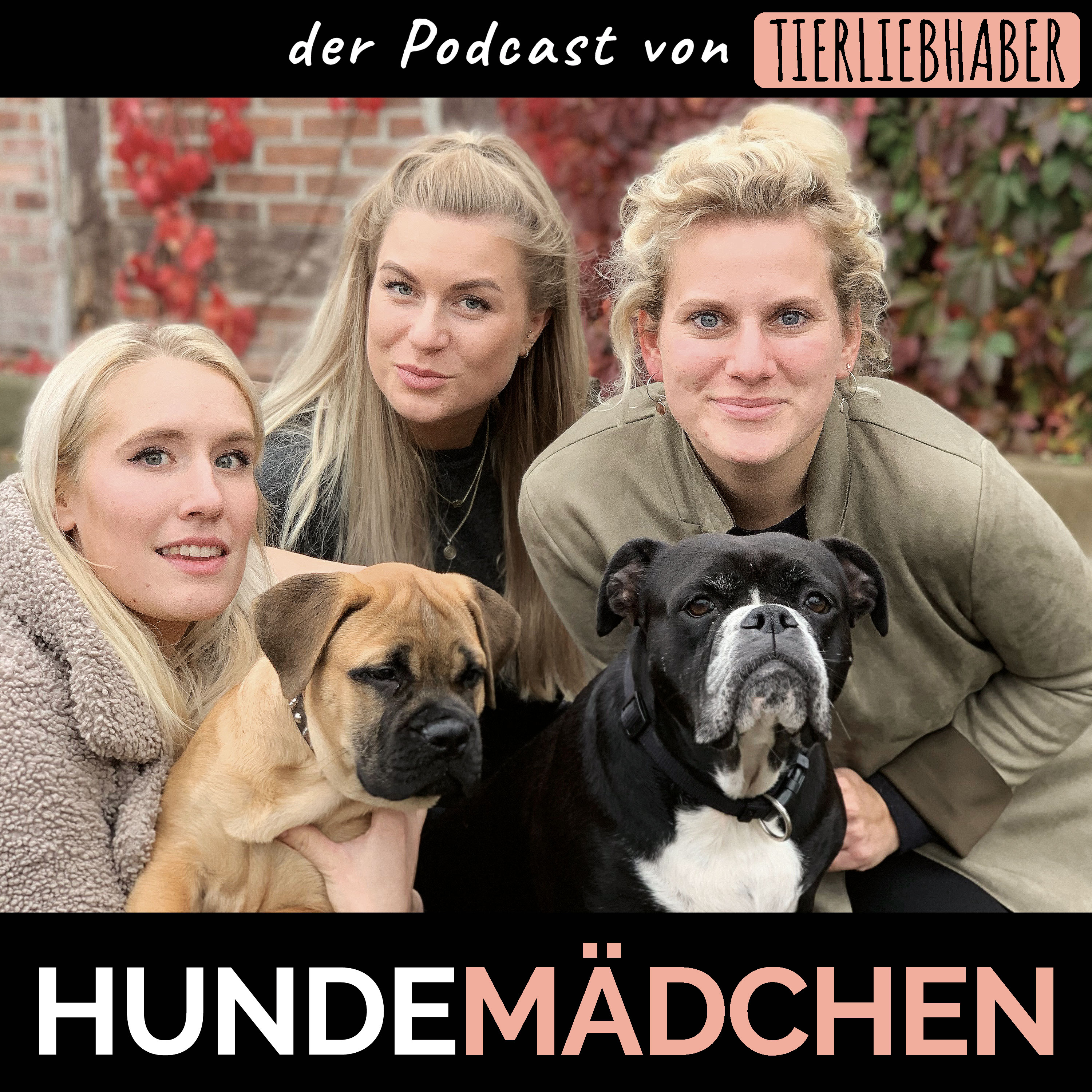 Hundemädchen - Der Tierliebhaber Podcast